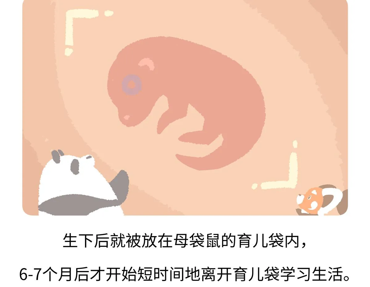 第228话0