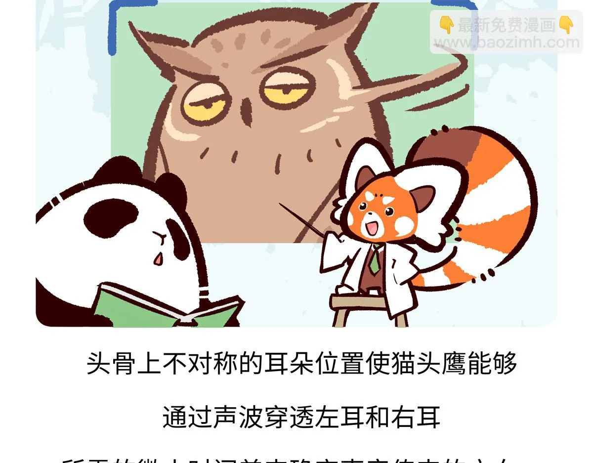 第226话3