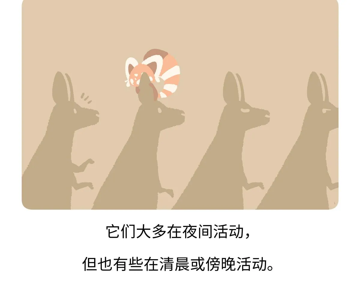 第231话4