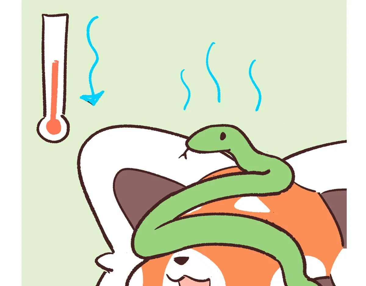 第251话4