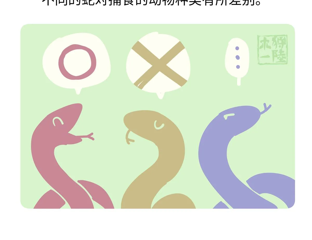 胖达x胖达漫画,第253话4图