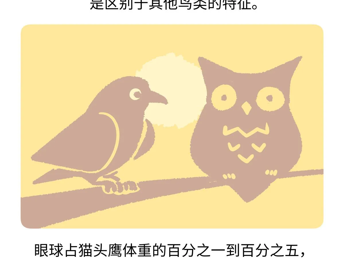 第224话0