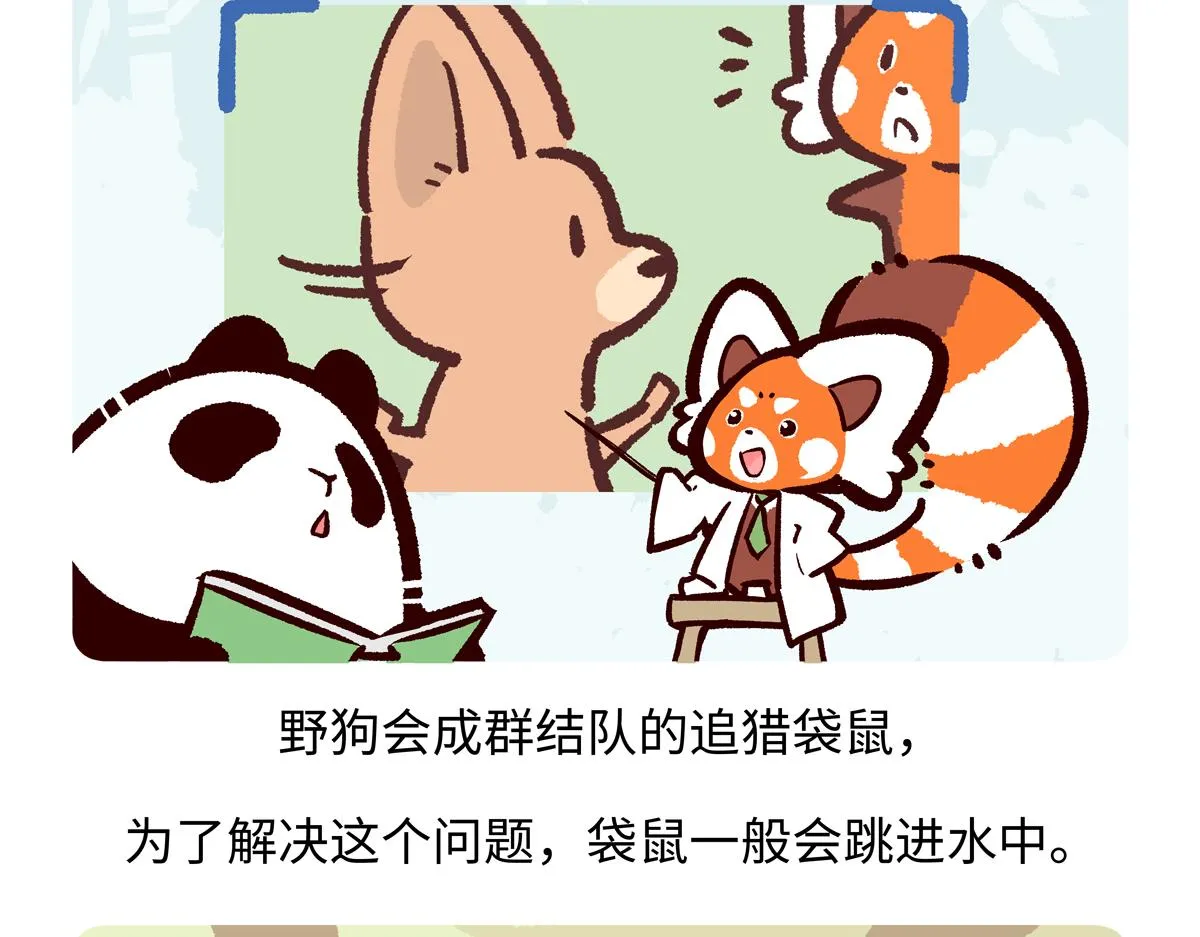 胖达x胖达漫画,第233话3图