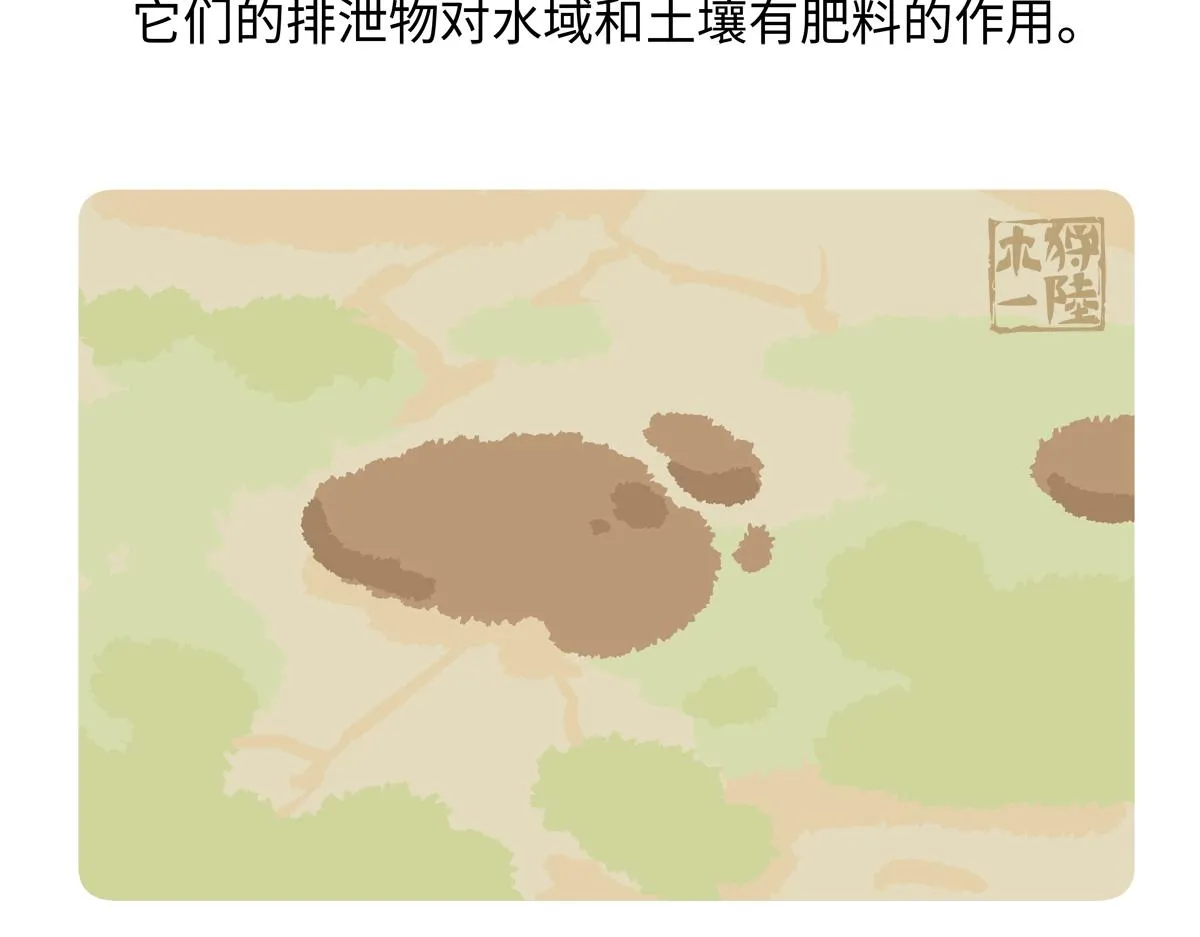 第243话1