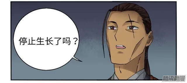 第二十九条：神树1