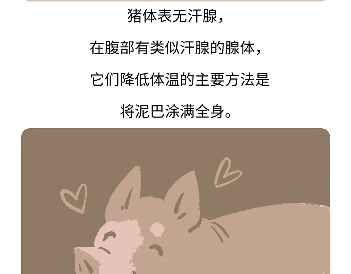 第176话1