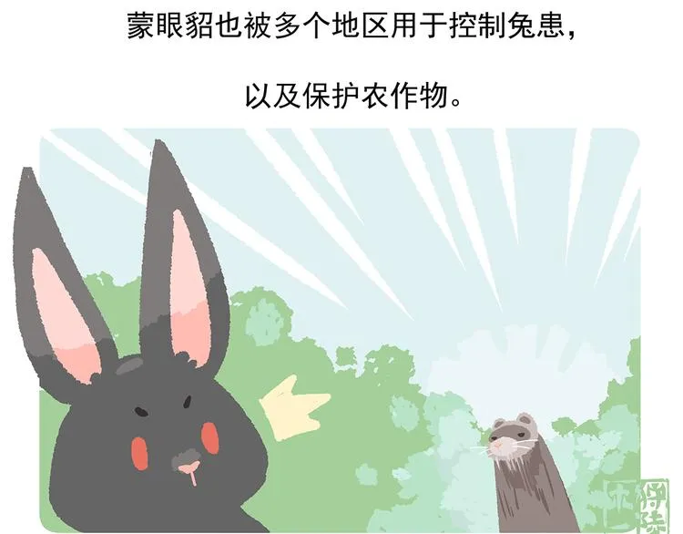 第34话3