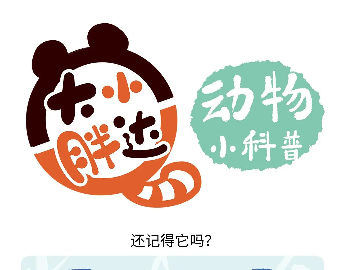 第170话3