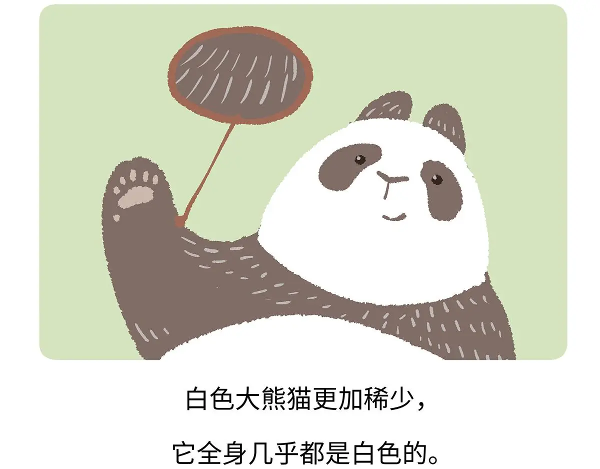 第188话2