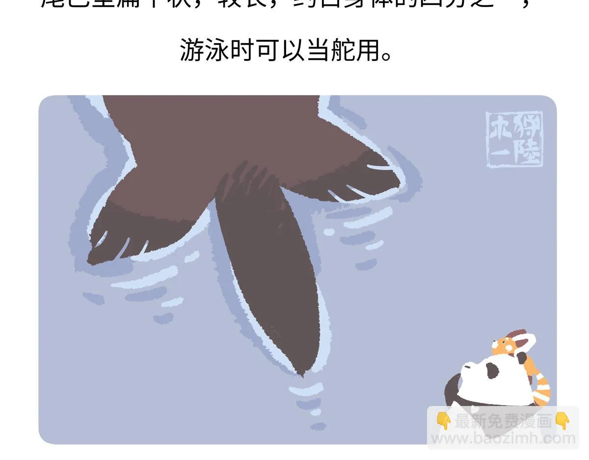第204话4
