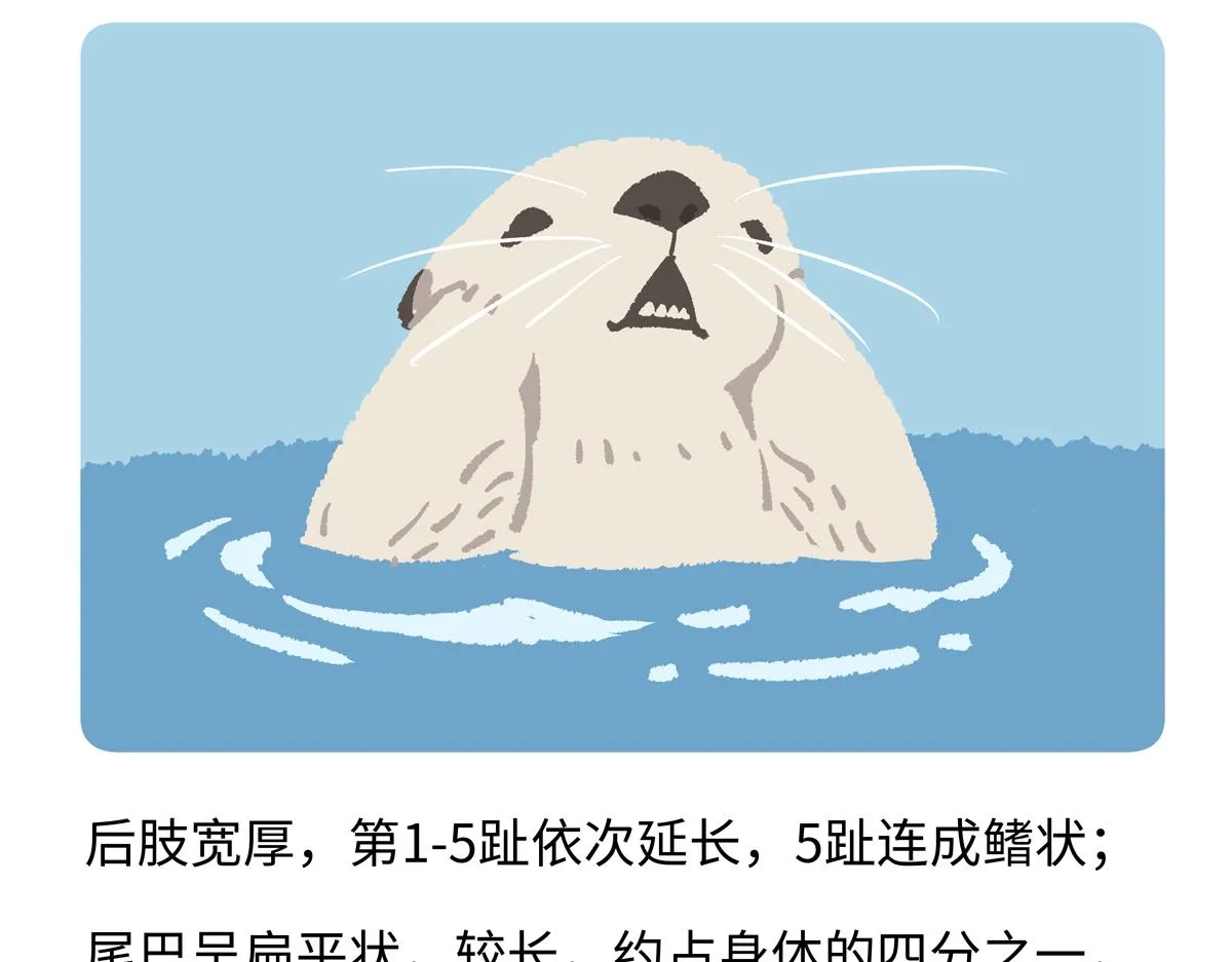 第204话3