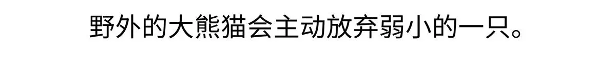 胖达x胖达漫画,第187话2图