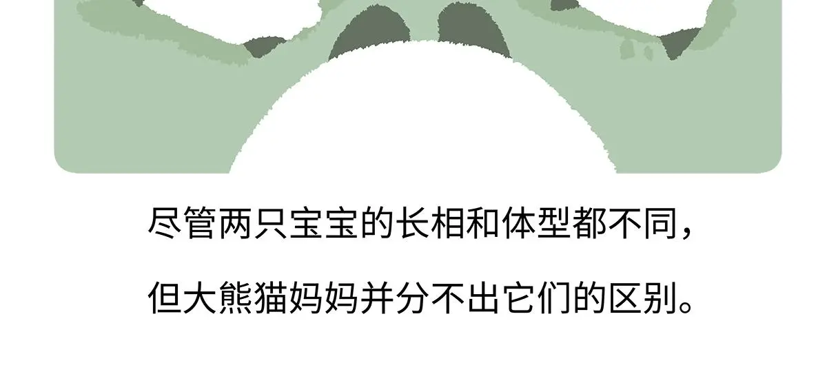 胖达x胖达漫画,第187话5图
