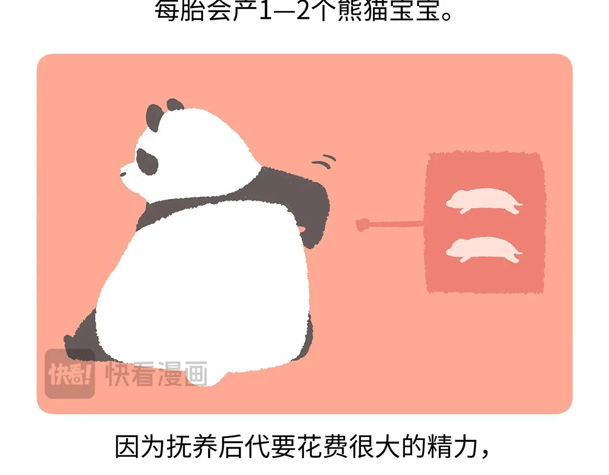胖达x胖达漫画,第187话1图