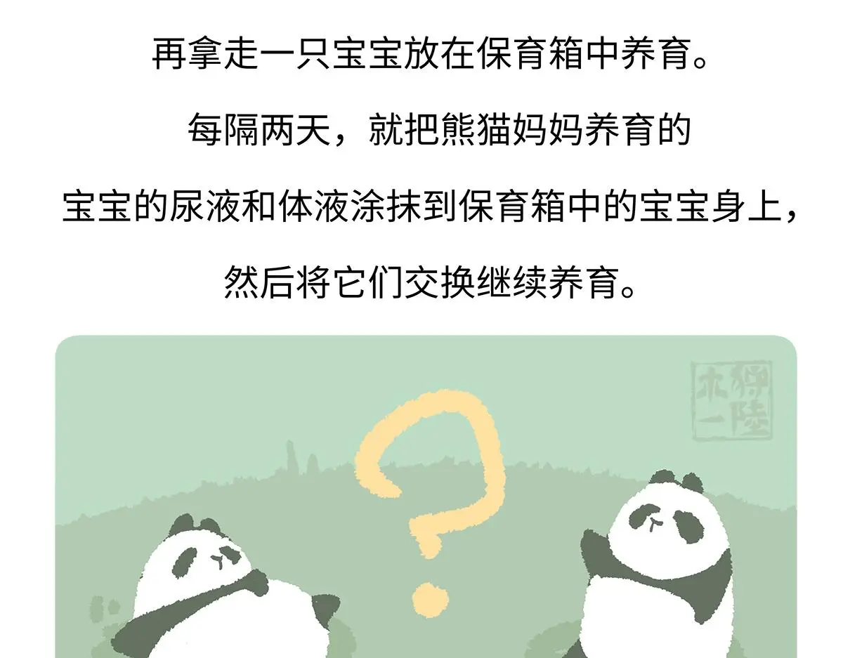 胖达x胖达漫画,第187话4图