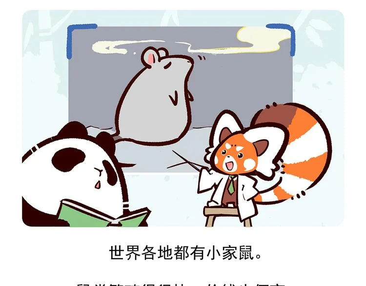 胖达x胖达漫画,第26话4图