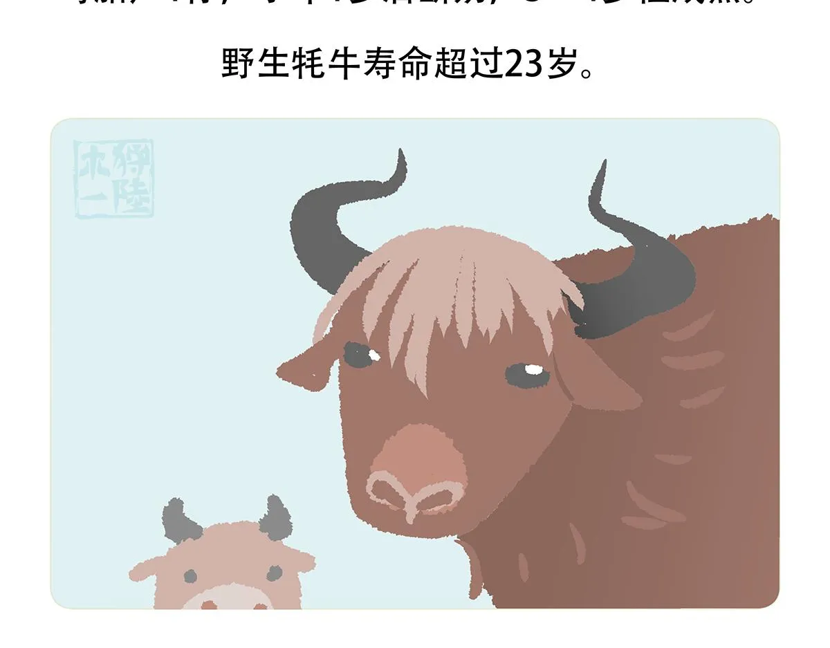 第147话4