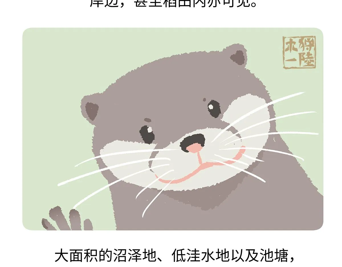 第197话2