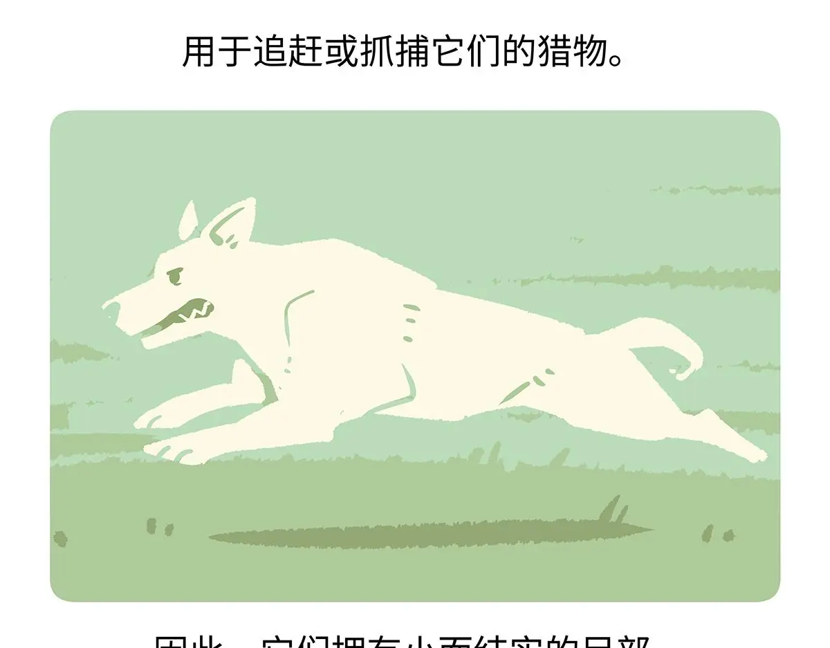 第177话1