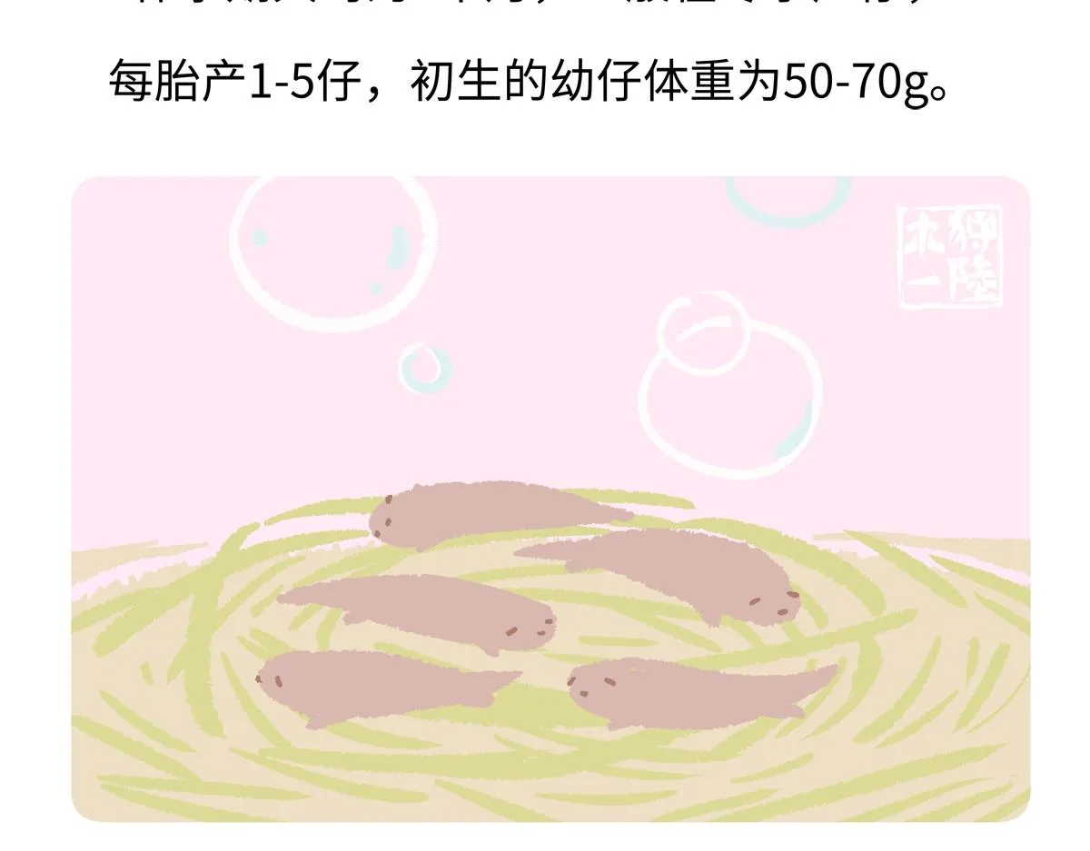 胖达x胖达漫画,第203话3图