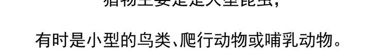 第53话3
