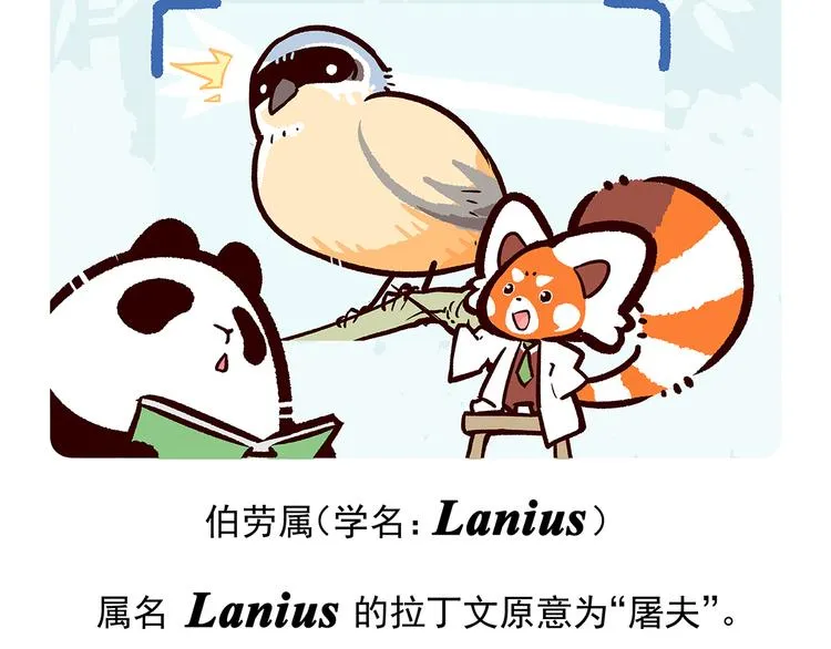 第53话0