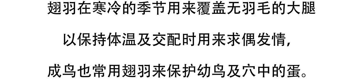 第103话1