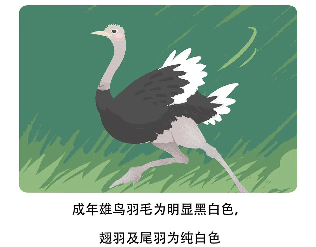 第103话2