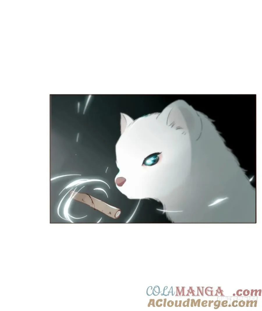 一五五章 车祸2