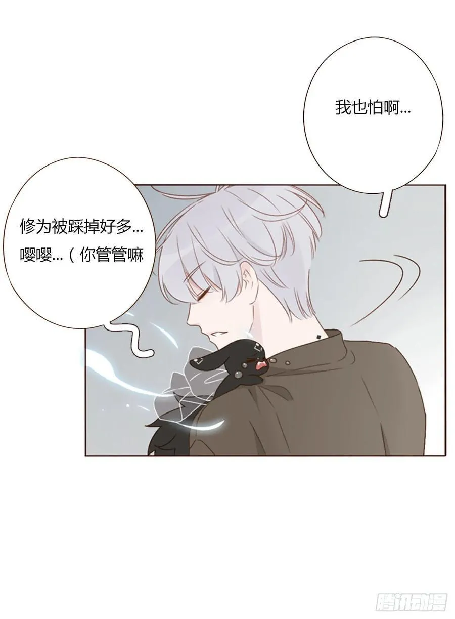 一四六章 小碗33