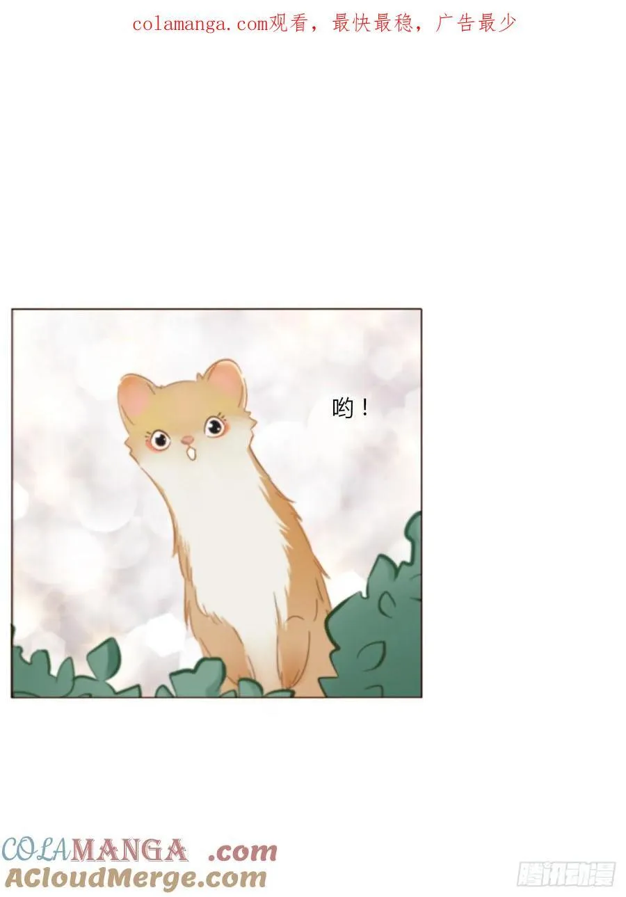 拥然入怀小说免费阅读漫画,一四一章 叶梓1图