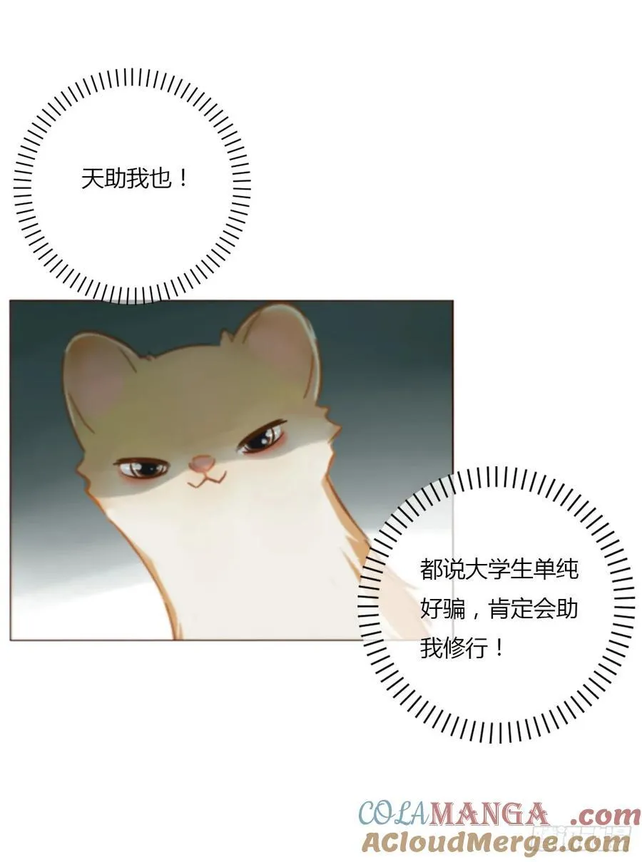拥然入怀小说免费阅读漫画,一四一章 叶梓3图