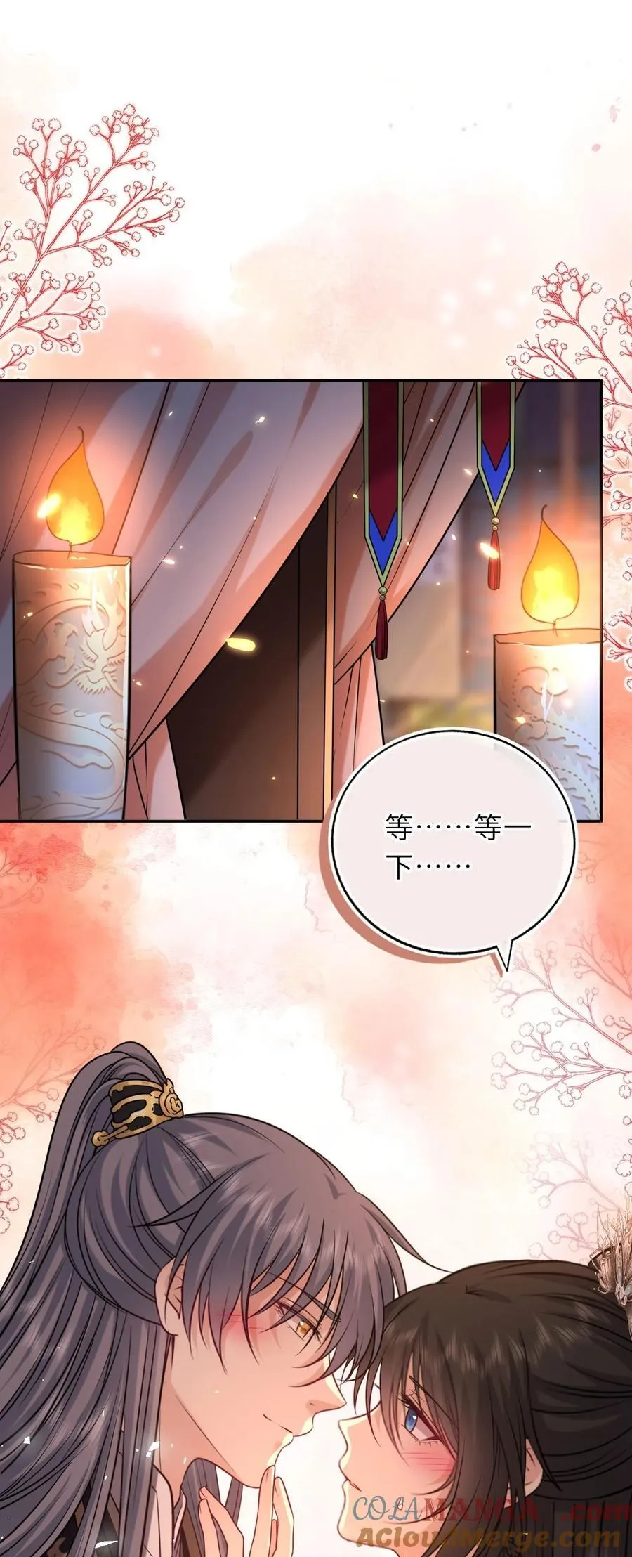 我把皇子养黑化了萧栩凤妤飞漫画,103 唯一的皇后3图