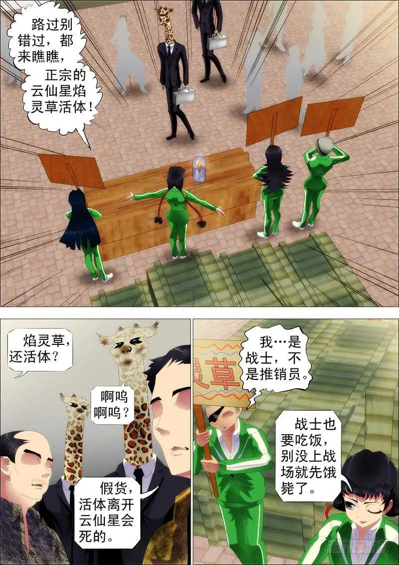 铁姬钢兵动漫漫画,掉毛金乌不如鸡1图