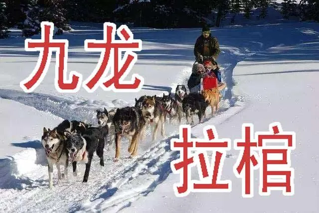 铁姬钢兵第2季24漫画,周五六七连更4图