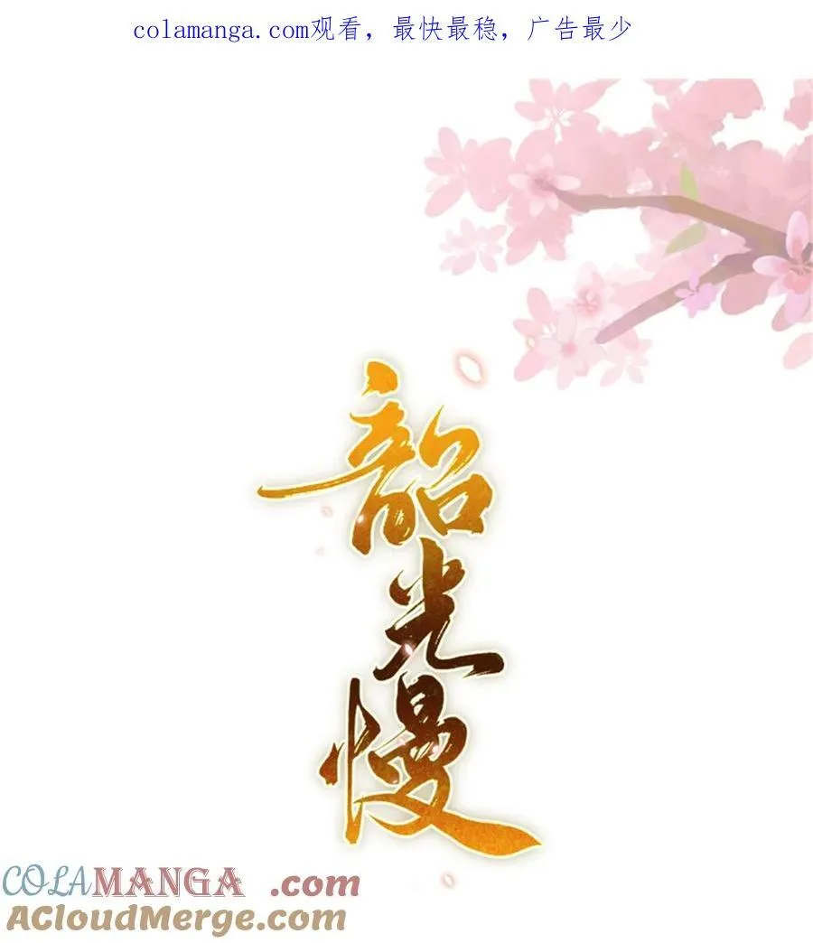 第164话 替我照顾好黎三0