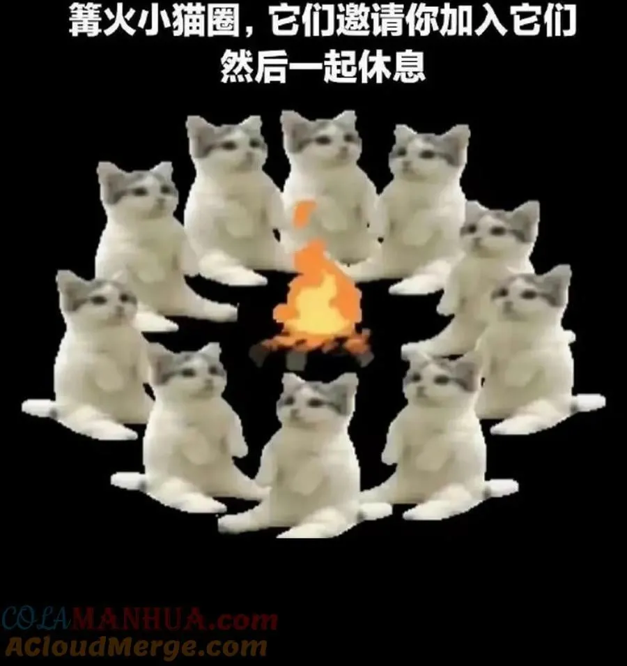 请教条 本周暂停更新1
