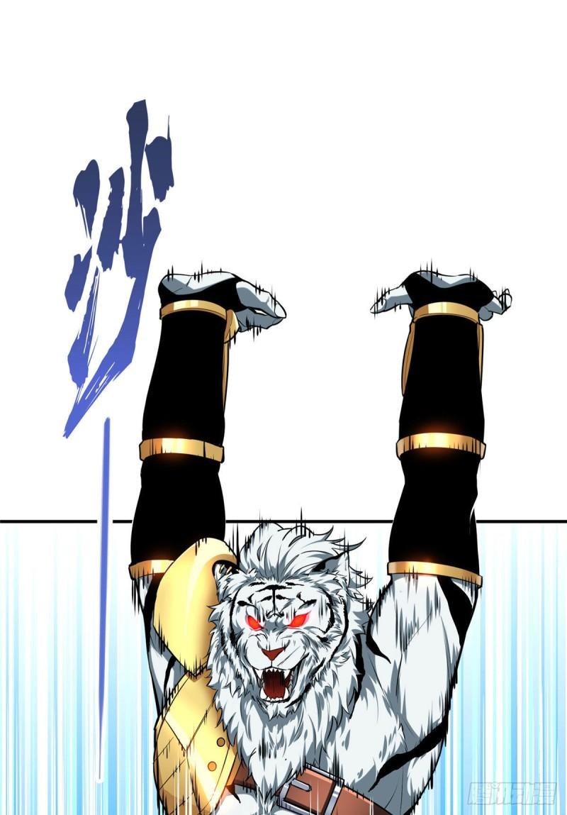 全职高手挑战赛篇漫画,36 忧郁小猫猫1图