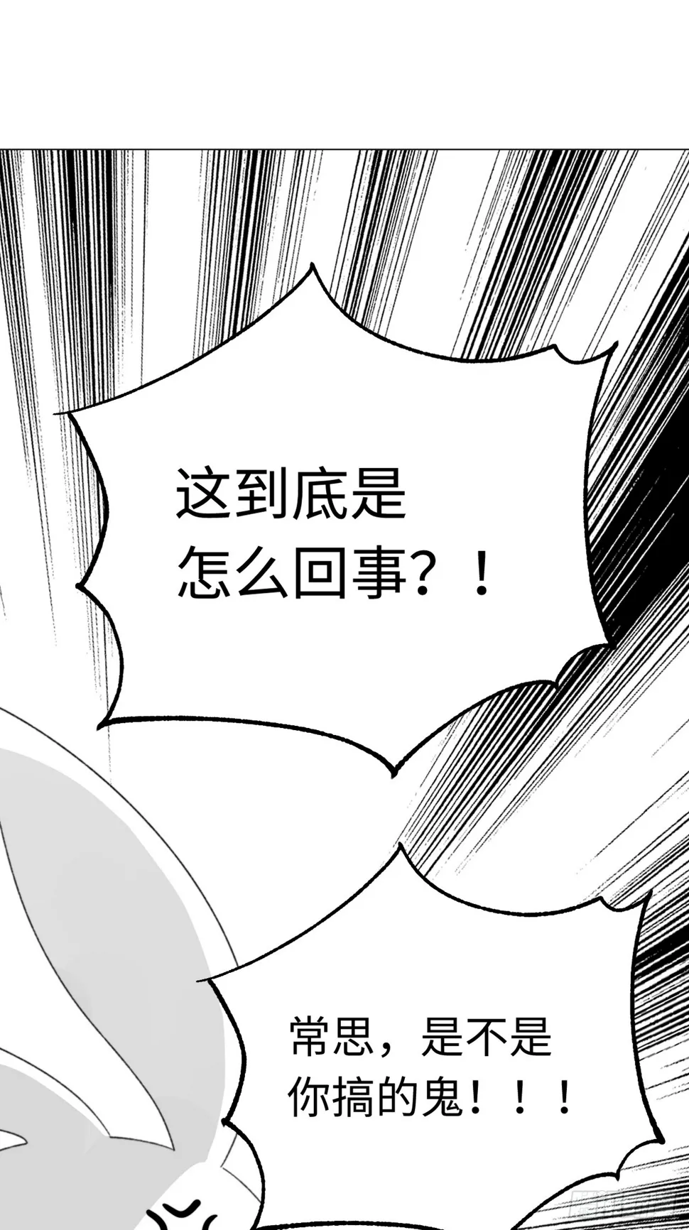 先把兔子带回家0
