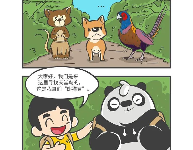 熊猫君和王稳健漫画,“武林高手”天堂鸟5图