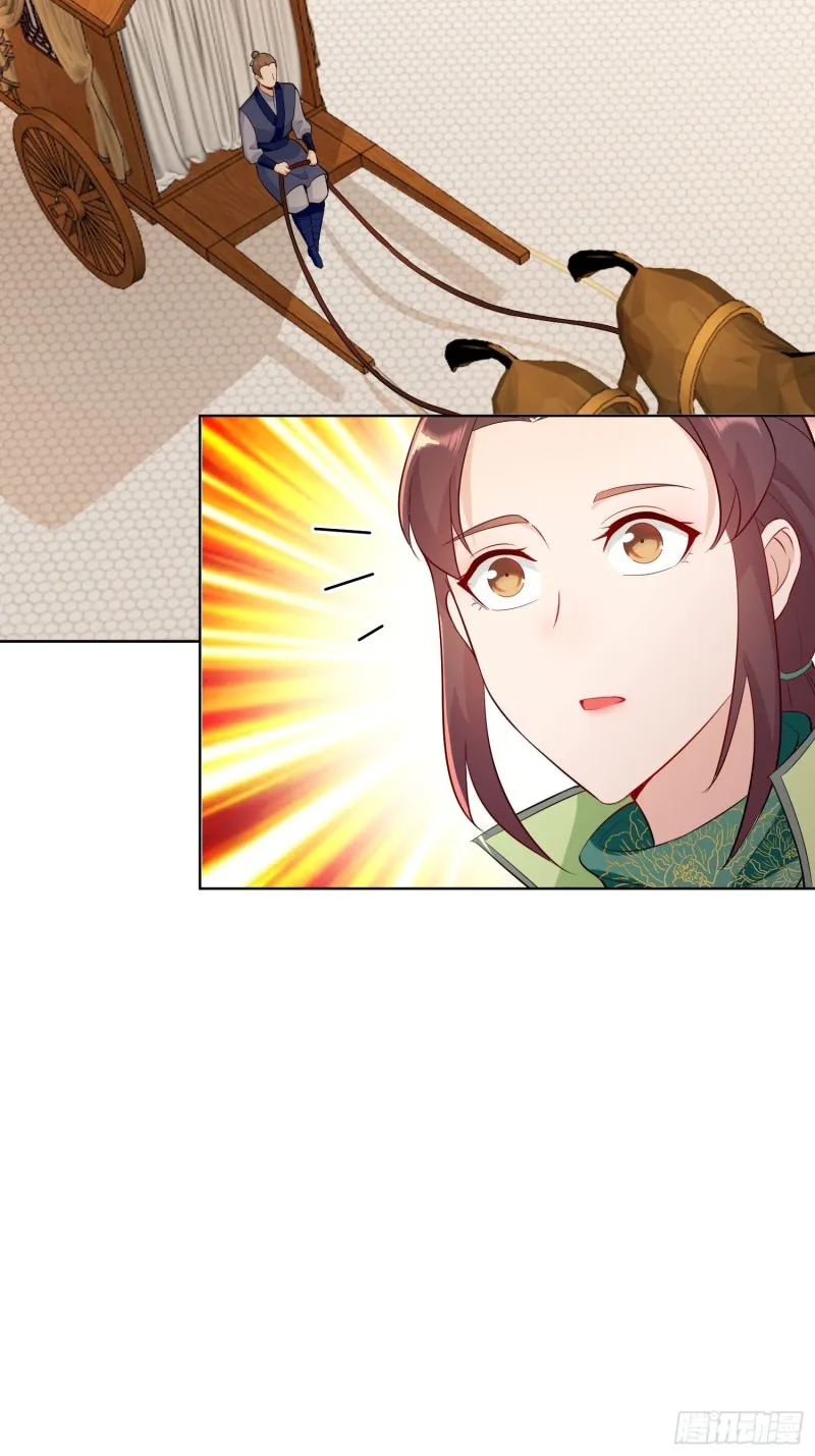 江都赌石王3