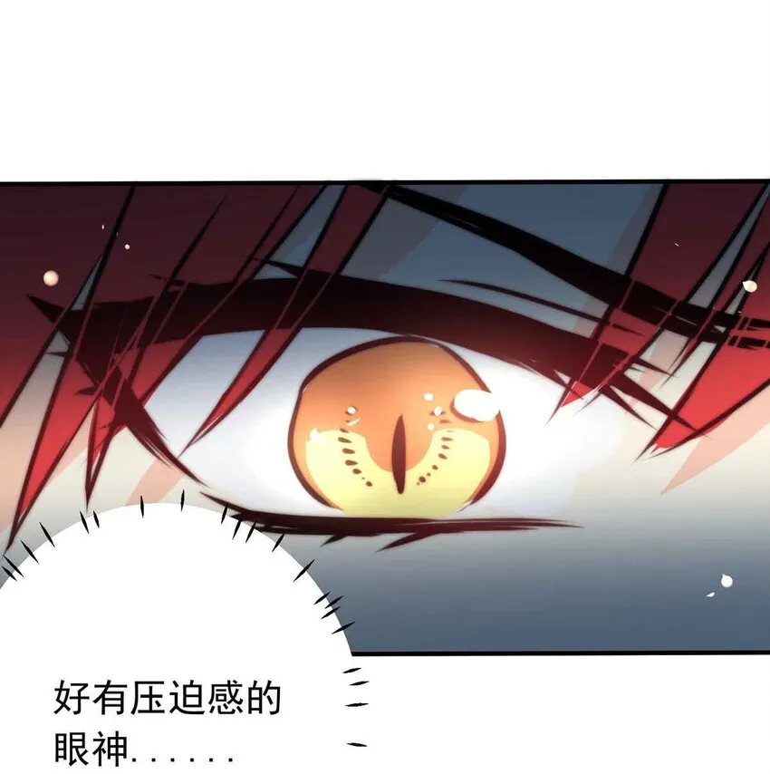 我愿为你献上黎明漫画免费下拉式漫画,6 战火的女王（中）2图