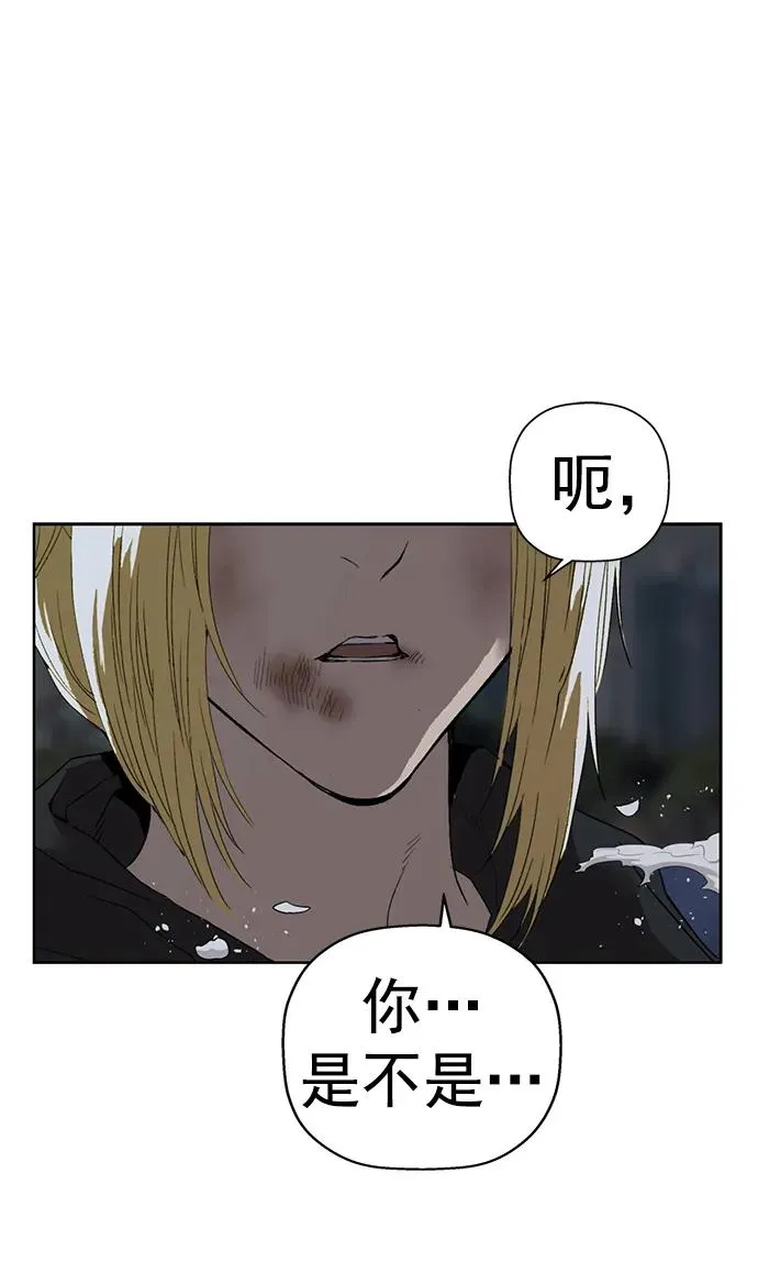第240话1