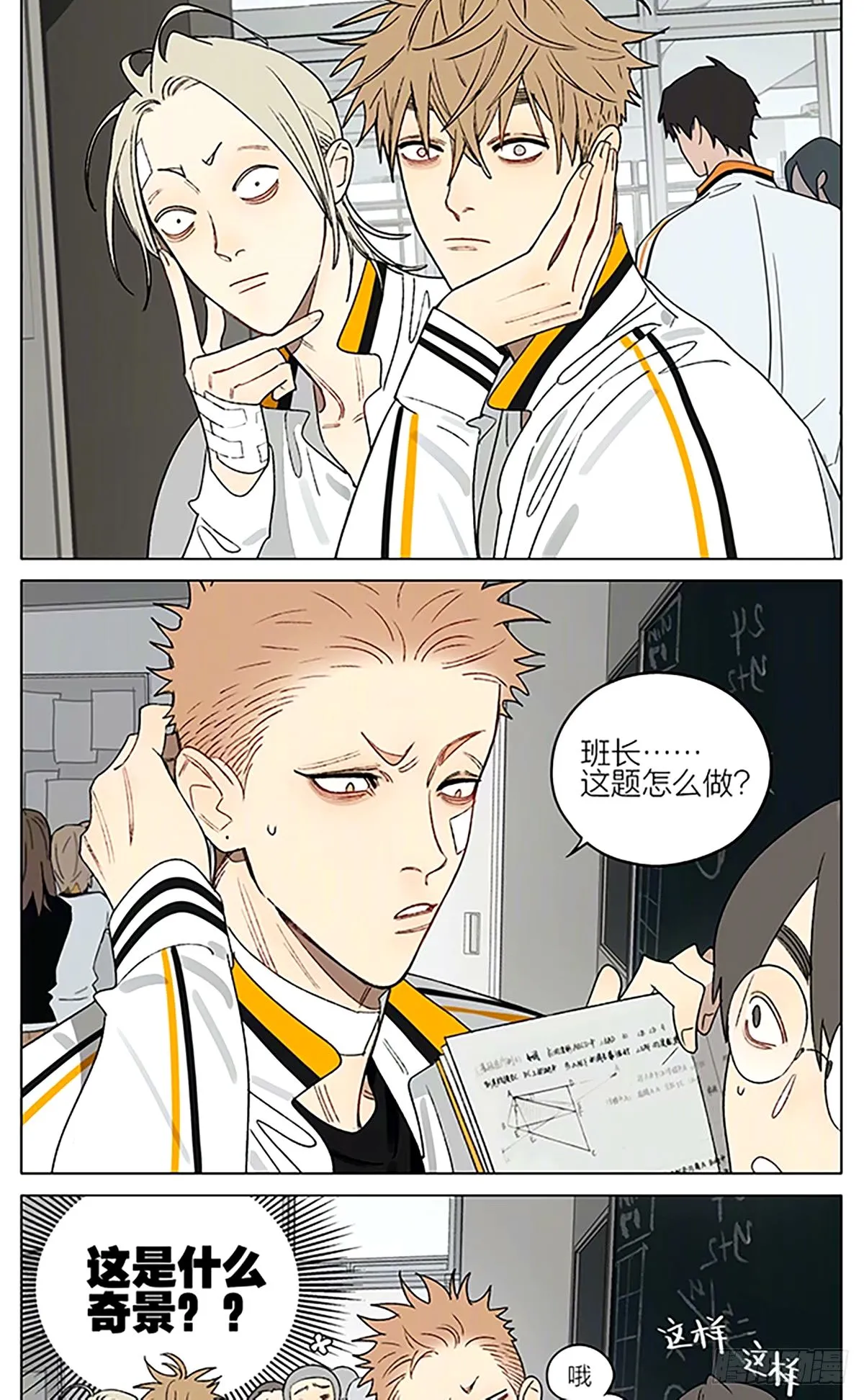 笨瓜0