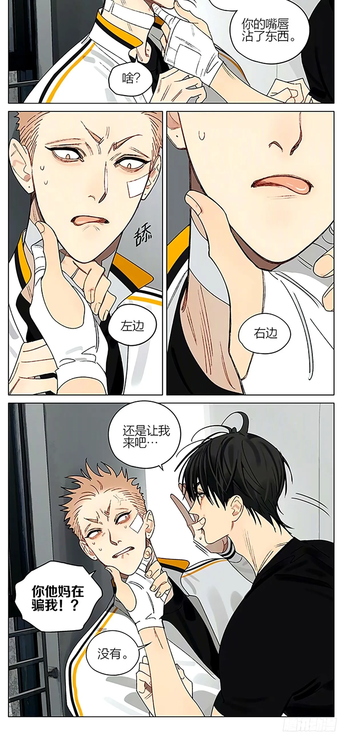 笨瓜4