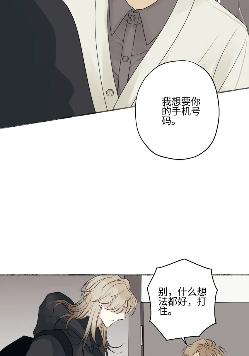 57 离别的鸵鸟3