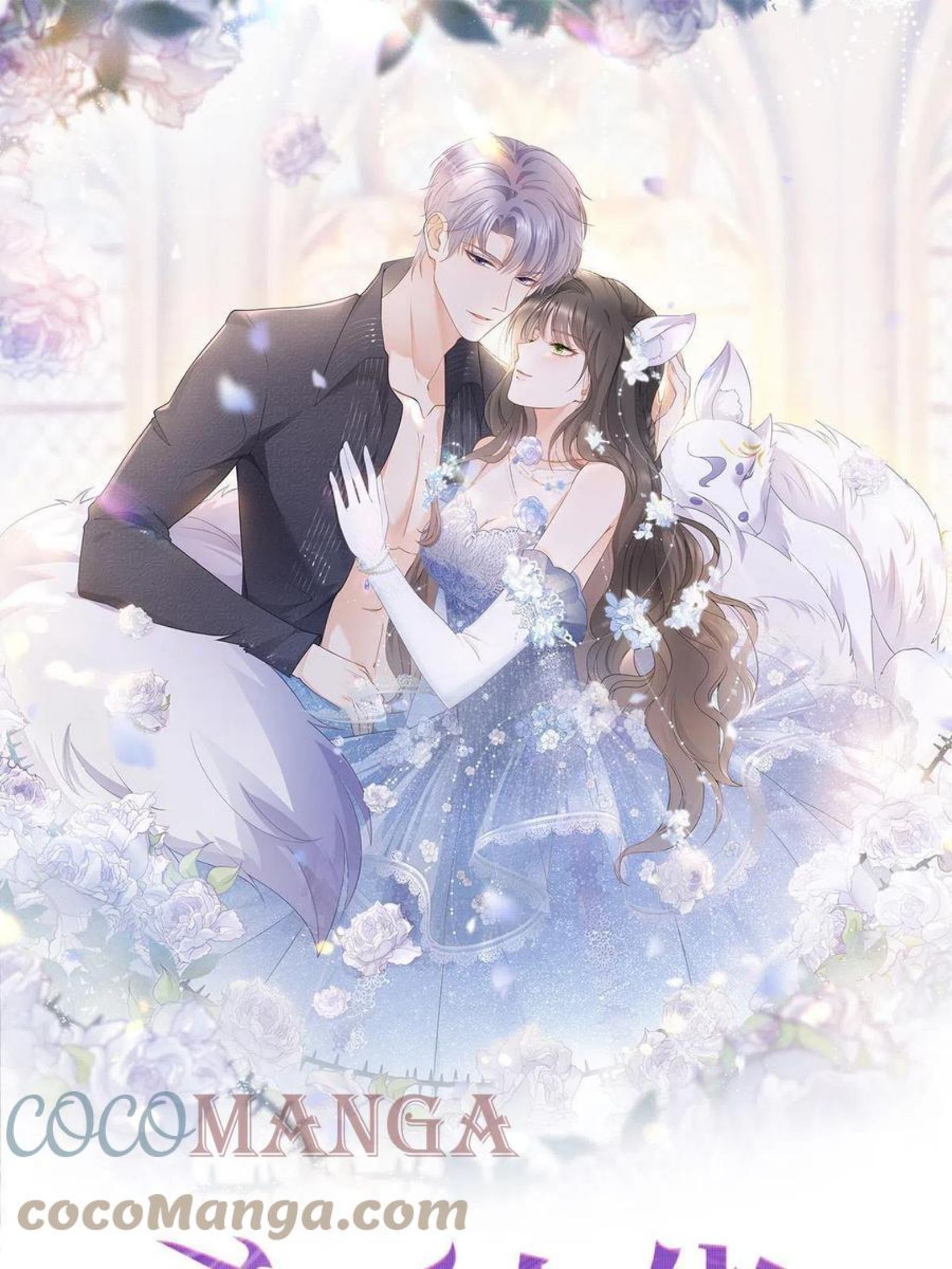 025 竞争者菲娅0