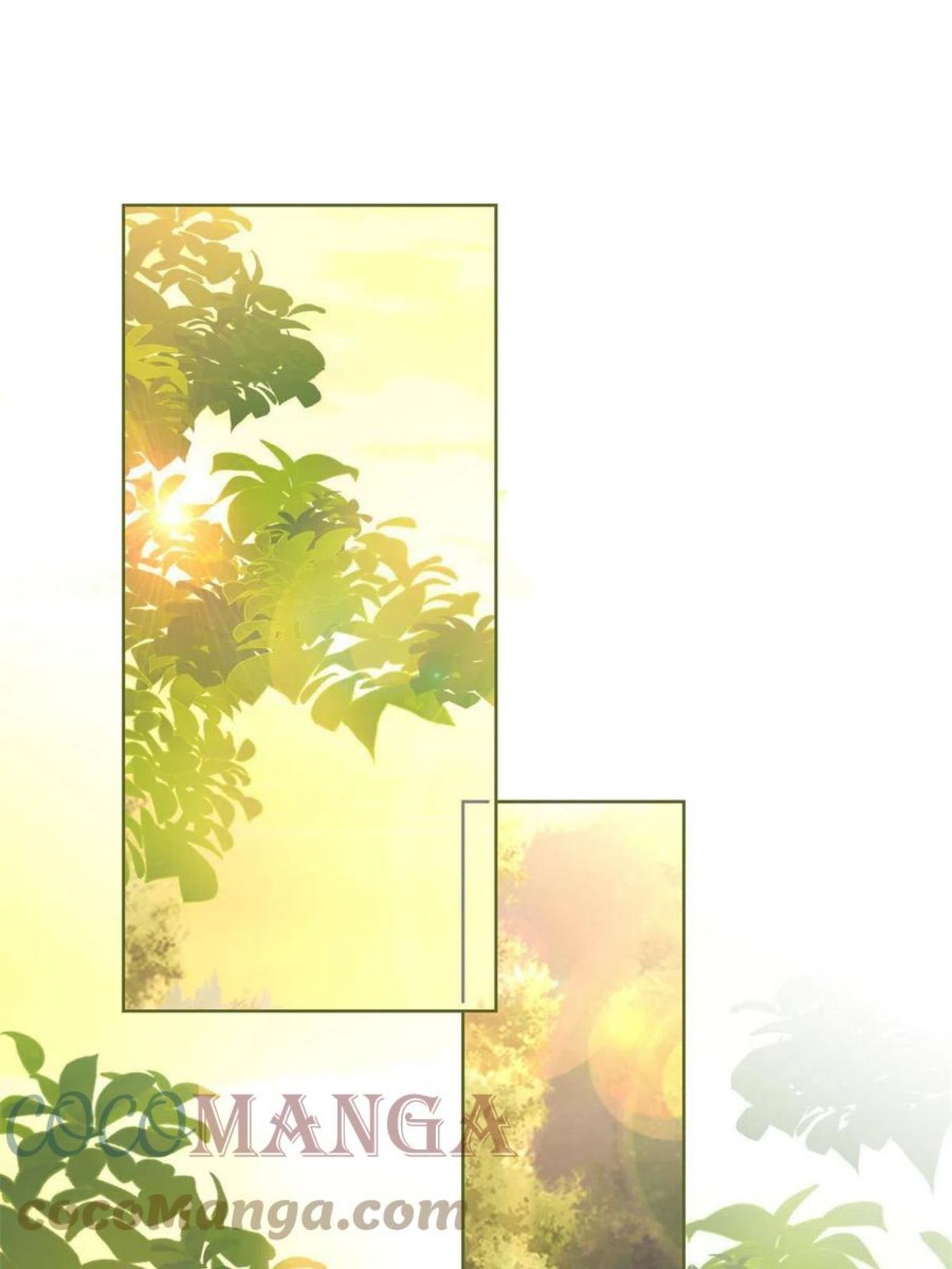 025 竞争者菲娅3