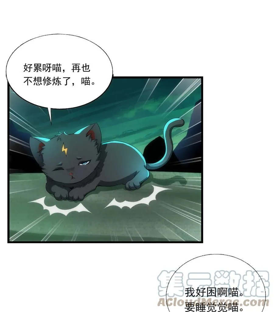 051 喵之懒～4