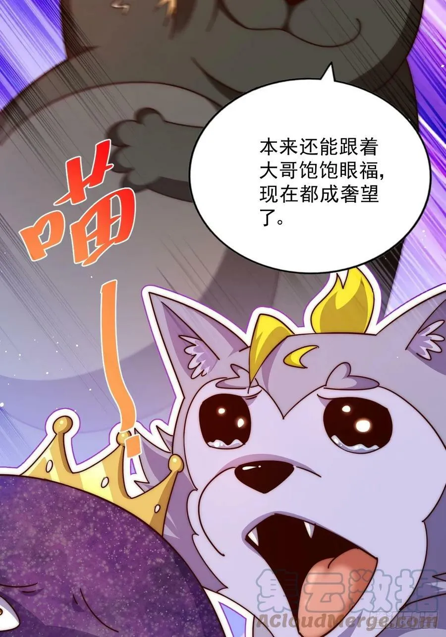 万人之上动漫观看全集免费播放中文版漫画,第203话 离开暗影岛4图